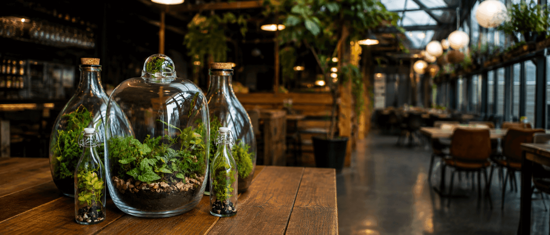 Terrarium maken workshop Zeeland