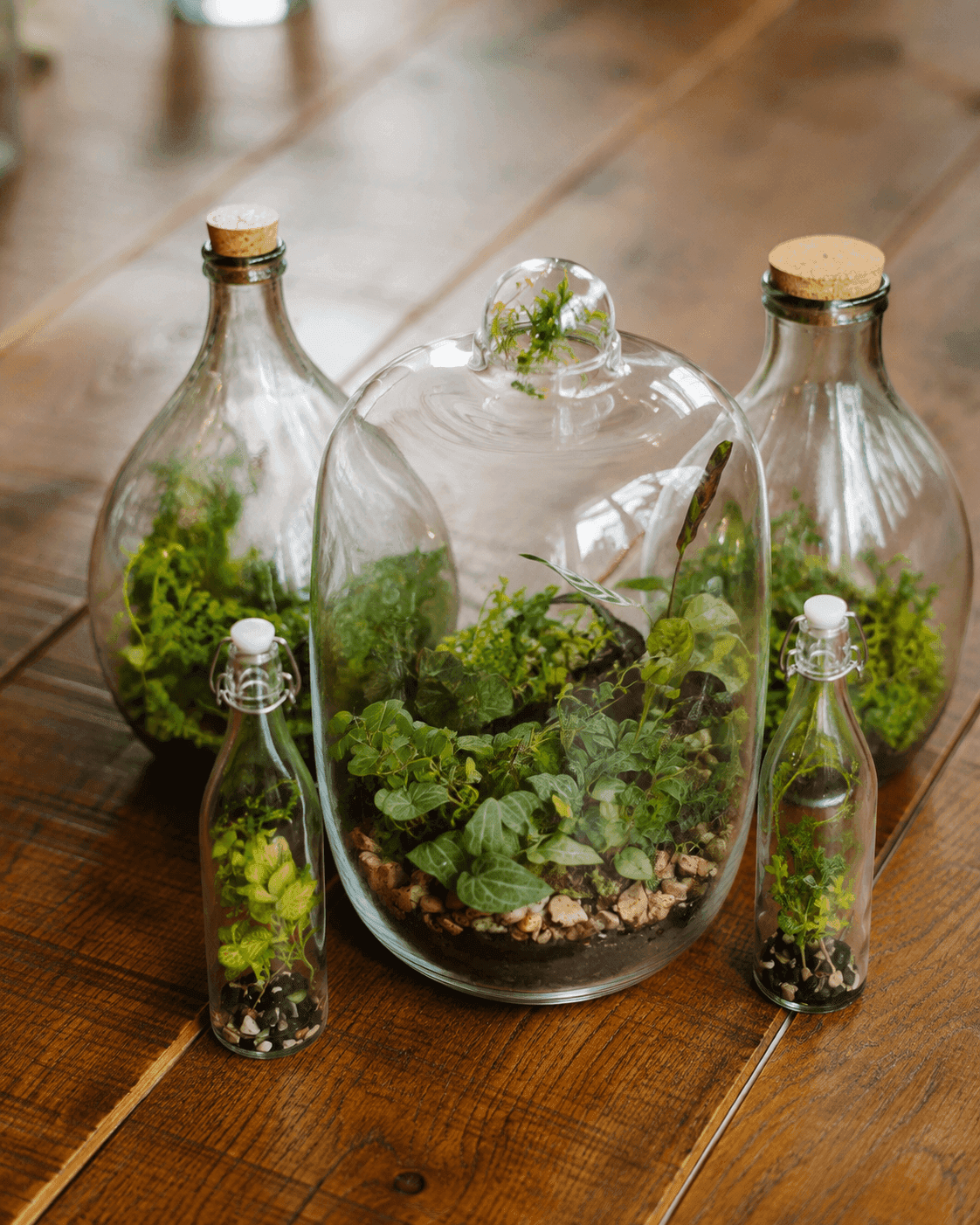Workshop terrarium maken