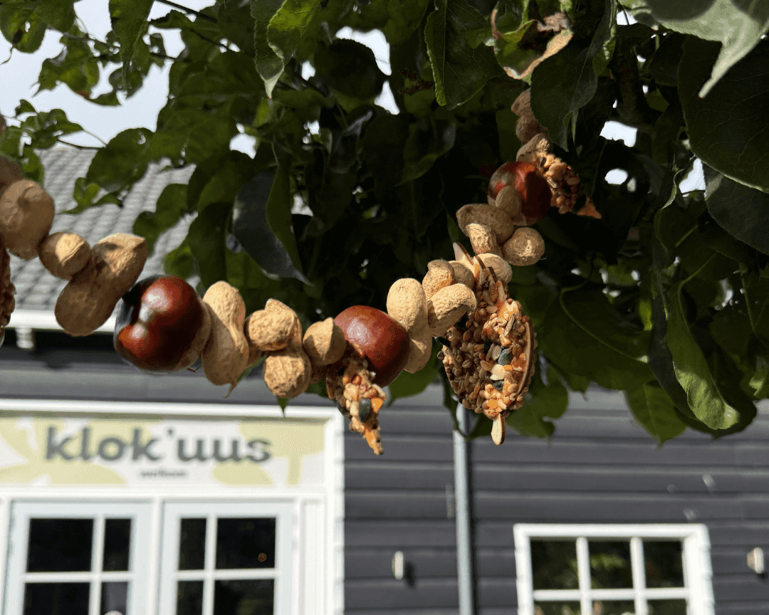 Vogelslinger maken