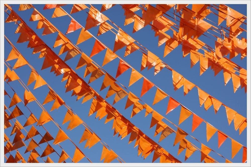 Koningsdag