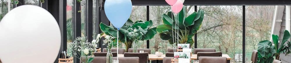 Kraamfeest in Zeeland organiseren?